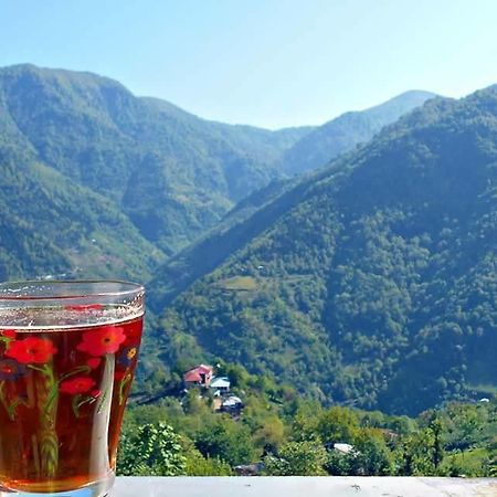 Guest House Noe Kveda Chkhutuneti Екстериор снимка