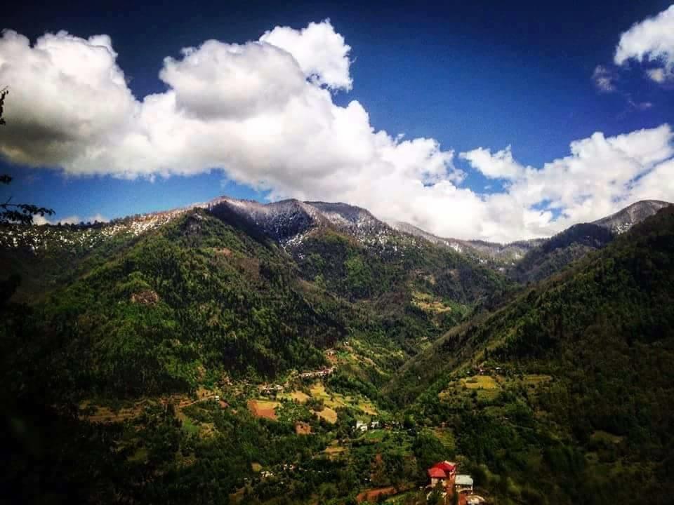 Guest House Noe Kveda Chkhutuneti Екстериор снимка
